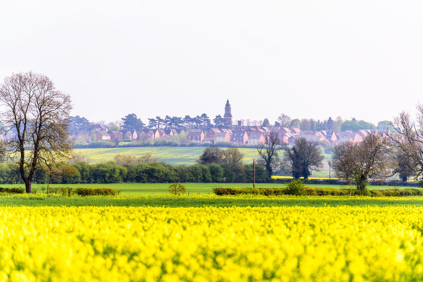 Day view of Northampton Town cityscape - arts, culture and heritage